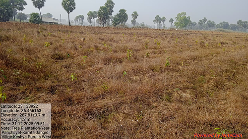 Impact Project Image